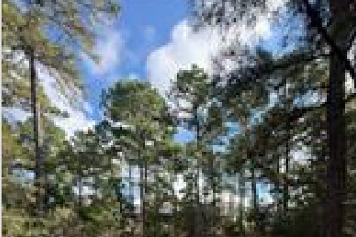 Homesite in Tahitian Village, Bastrop, sold by The Allan Home Group